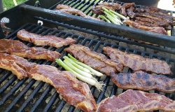 2019-volleyball-tournament-bbq