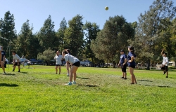 2019-volleyball2