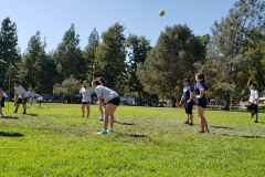 2019-volleyball2